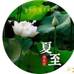 夏至未满 - 金木晨图片