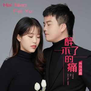 醉不了的痛(DJ默涵版)