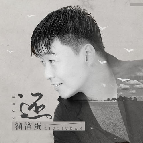 还_溜溜蛋_单曲在线试听_酷我音乐