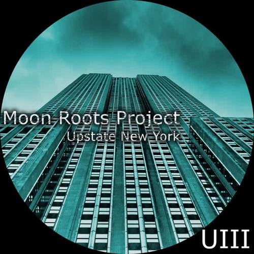 upstate new york(original mix)_moon roots project