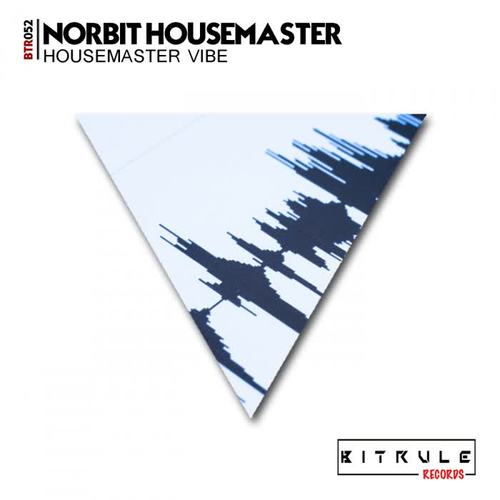 housemaster vibe(original mix)