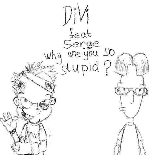 why are you so stupid?