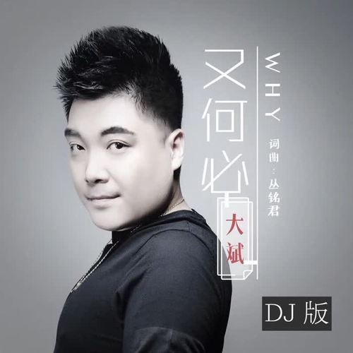 又何必(dj 大圣 remix)_dj 大圣&大斌_单曲在线试听_酷我音乐