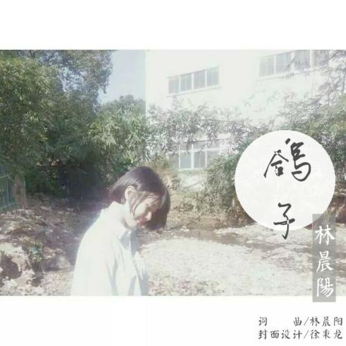 鸽子_林晨阳_单曲在线试听_酷我音乐