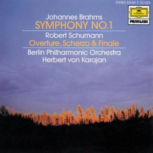 andante sostenuto_michel schwalbe&berliner philharmoniker&