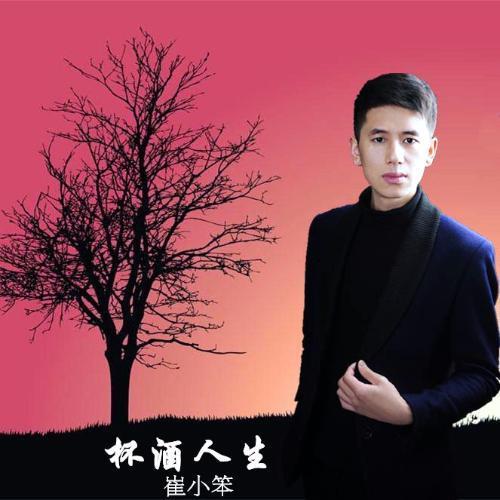 杯酒人生_崔小笨_单曲在线试听_酷我音乐