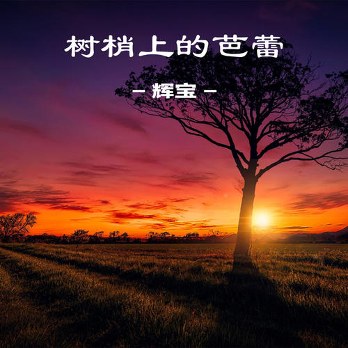 树梢上的芭蕾