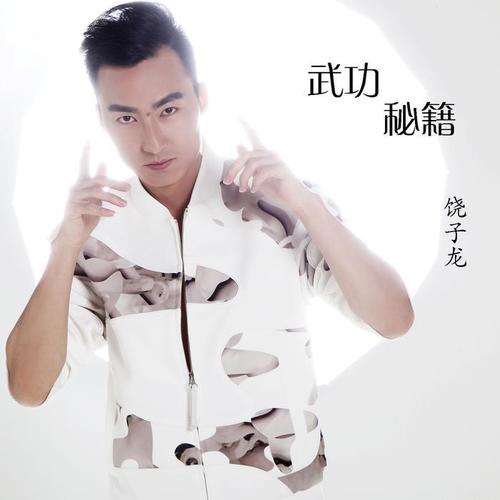 舞功秘籍_饶子龙_单曲在线试听_酷我音乐