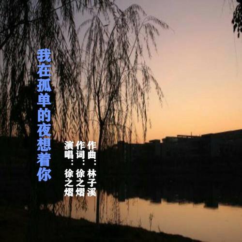 我在孤单的夜想着你(伴奏)_徐之熠_单曲在线试听_酷我音乐