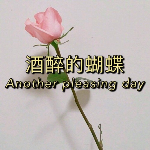 无心斗艳(dj版)_法师&圈妹_单曲在线试听_酷我音乐