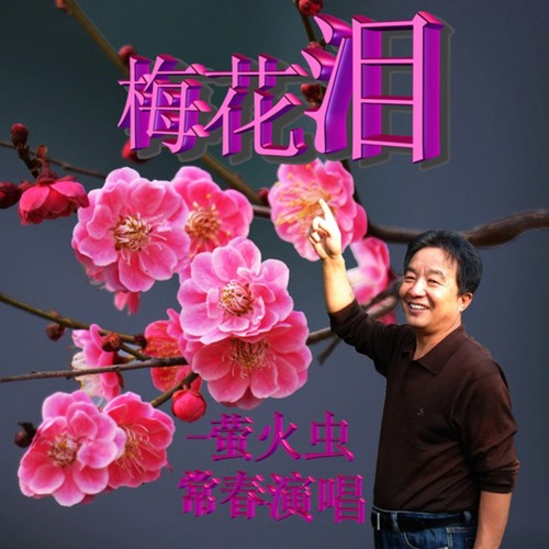 梅花泪 (cover: 云菲菲) (cover: 杨子)