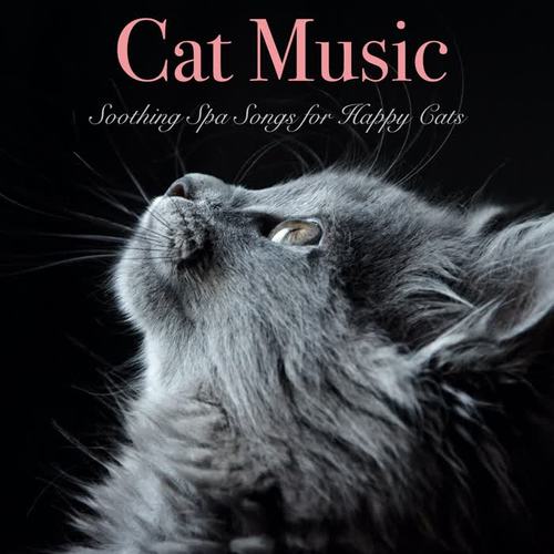 cats cradle_cat music&cat music dreams&cat music therapy_单曲