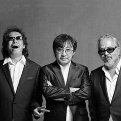 【野菊花歌词】_野菊花歌曲歌词_野菊花歌词