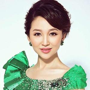 【美丽中国梦(伴奏)歌词】_王芳美丽中国梦(伴