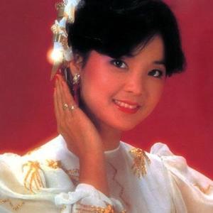 【漫漫人生路歌词】_邓丽君漫漫人生路歌词下