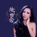 除了想念(DJ何鹏版)郑青儿
