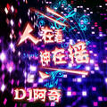 冰冻成河(DJ版)DJ阿奇