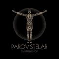 Catgroove(Live @ Pukkelpop)Parov Stelar