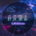 天涯何处觅知音(DJ版)DJ阿金