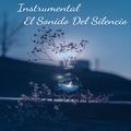 歌手Sonido Instrumental的头像