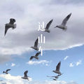 过山车(Remix)DJ小可