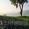 少年梦 DJ阿奇2017合成DJ阿奇&麦子杰