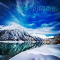 家乡(DJ阿奇版伴奏)DJ阿奇
