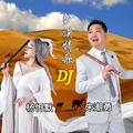 沙漠情歌(DJ何鹏版)朱潮勇&杨忻默