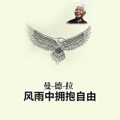 https://img2.kuwo.cn/star/albumcover/240/1/97/1126641766.jpg