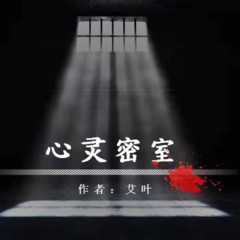 《心灵密室》多播精品悬疑烧脑推理免费小说