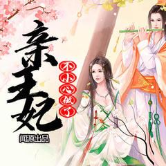 不小心做了亲王妃
