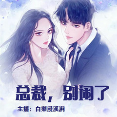 有声小说总裁，别闹了