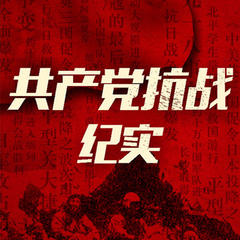 中国共产党抗战纪实：五大抗日根据地纪实 二战 解放战争