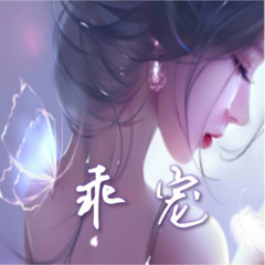 乖宠