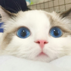 个人联系