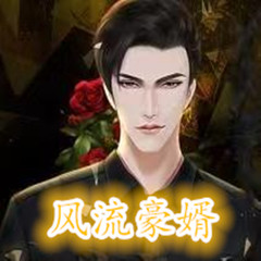 风流豪婿