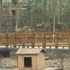 满级绿茶穿越成小可怜