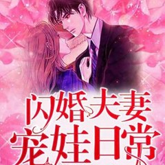 闪婚夫妻宠娃日常