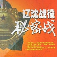 三大战役秘密战.辽沈战役秘密战