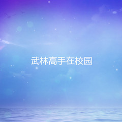 武林高手在校园