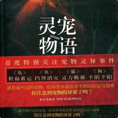 灵宠物语