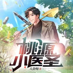桃源小医圣