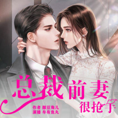 总裁前妻很抢手