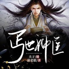丐世神医（逆天浪婿）