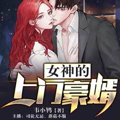 女神的上门豪婿