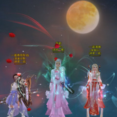 试音合集