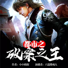 都市之破案之王