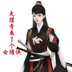 大理寺来了个女捕快
