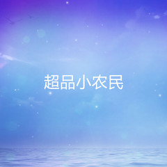 超品小农民