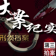 大案纪实